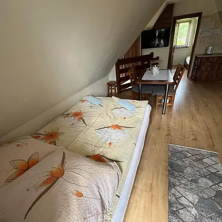 Apartamento U Celiny Rzepiska Exterior foto
